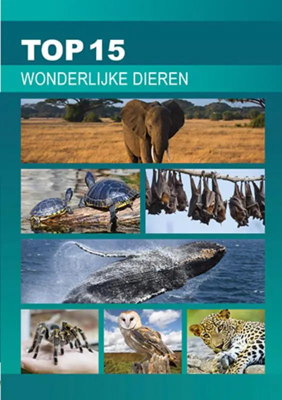 De cover van het boek top 15 wonderlijke dieren toont zes dierenfoto’s tegen een blauwe achtergrond