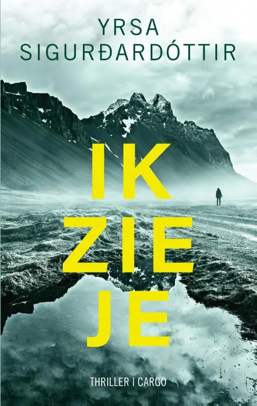 Boekcover ik zie je met gele, vette tekst en een eenzame figuur tegen besneeuwde bergen en mistig landschap